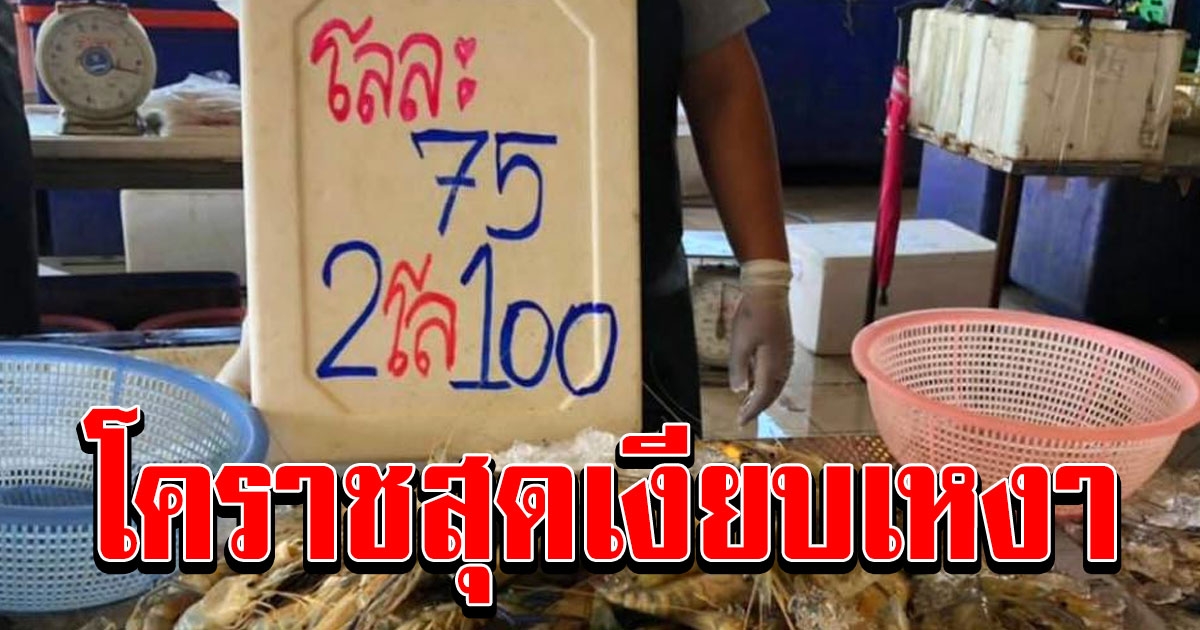 ตลาดเทิดไท โคราชสุดเงียบเหงา พ่อค้า แม่ค้า ทำใจต้องยอมเทขายกุ้ง 2 โลร้อย