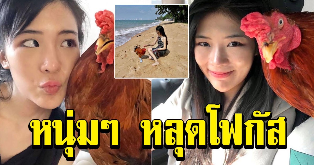 สาวอวดไก่ สัตว์เลี้ยงสุดรัก