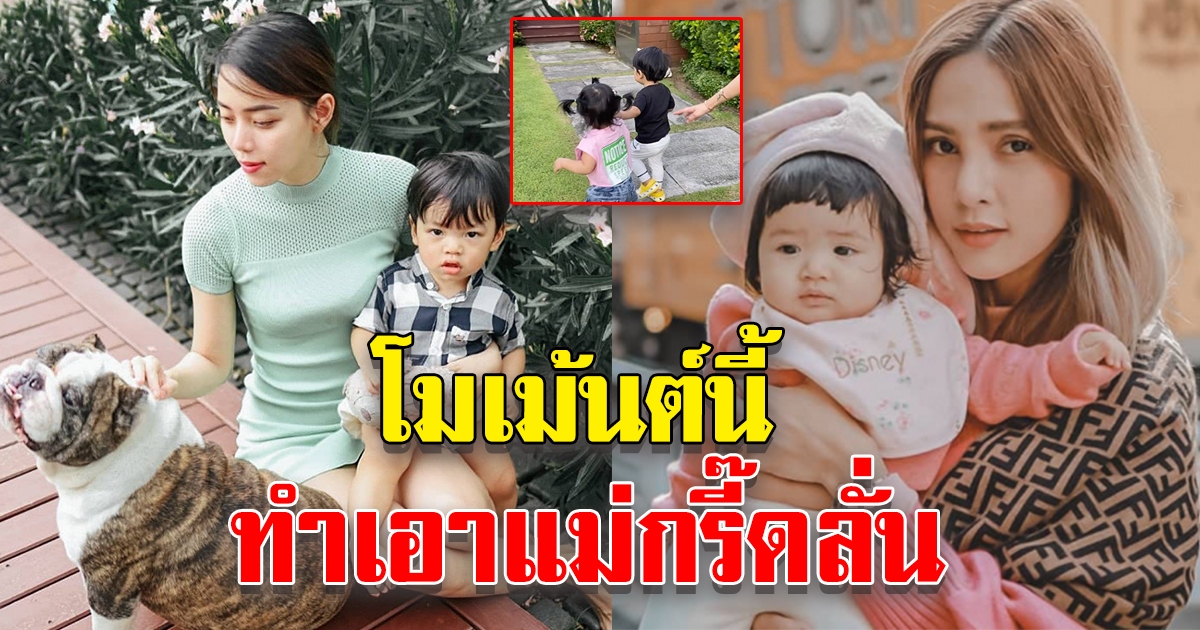 โมเม้นต์พี่ชายของ น้องไทก้า ที่ดูแล น้องดิสนีย์