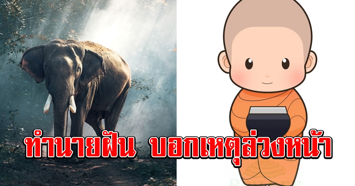 ความฝันบอกเลข