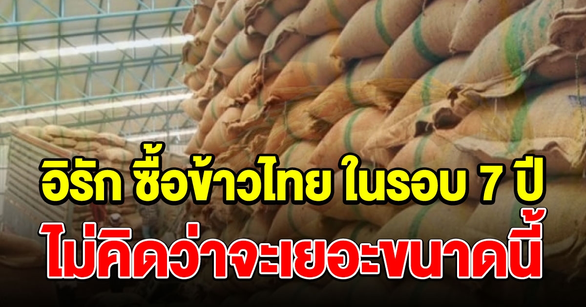 ไทยเตรียมส่งออกข้าว ไปอิรักครั้งแรกในรอบ 7 ปี