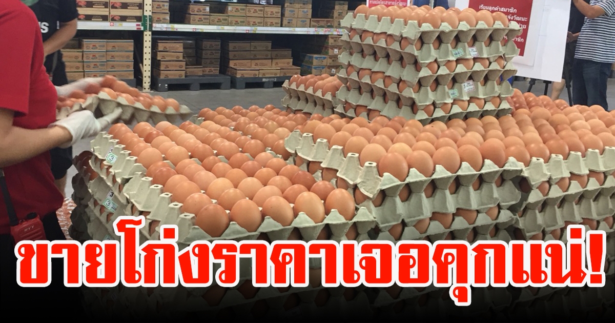 กรมการค้าภายใน ตรึงราคาไข่ไก่