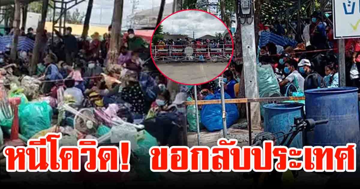 แรงงานโรงเกลือนับพันขอกลับประเทศ ผู้ว่าฯหารือฉีดวัคซีน