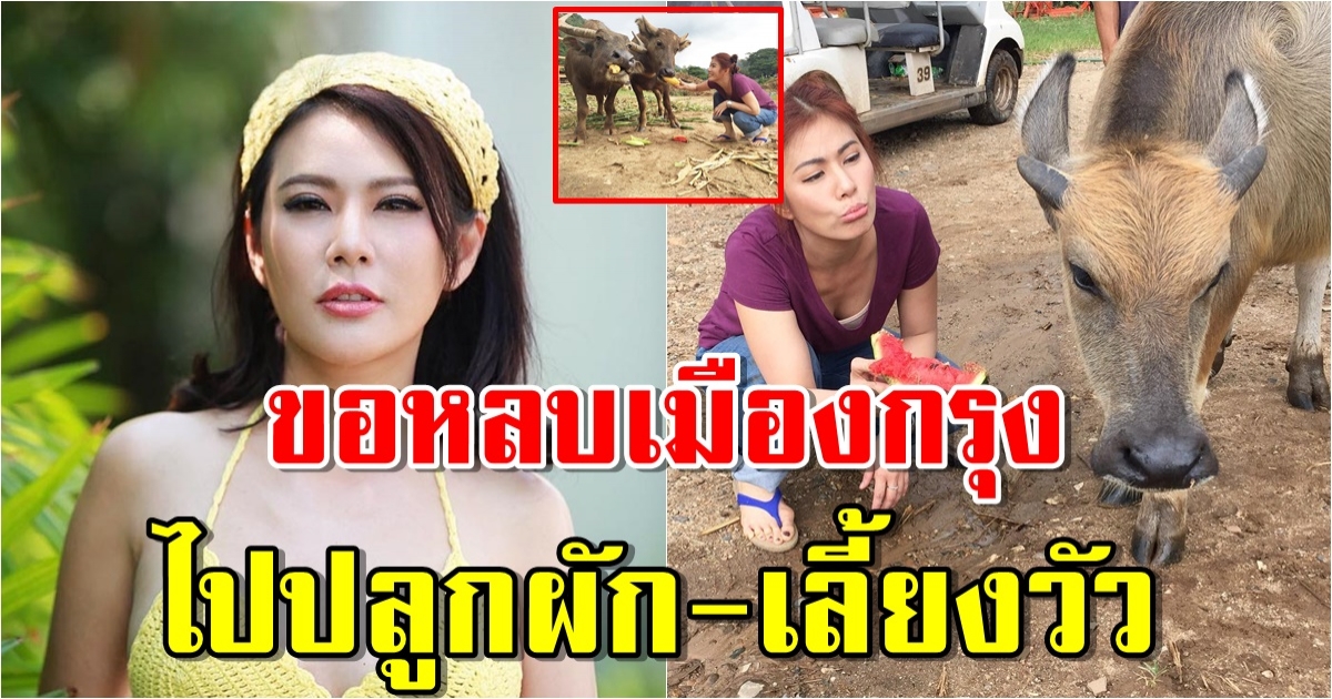 บ้านชนบท น้ำผึ้ง ณัฐริกา ประหยัด-อดออม