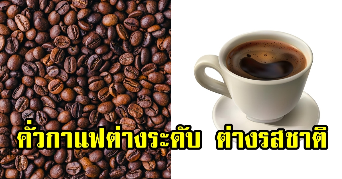 เช็กรสชาติตามระดับการคั่วเมล็ดกาแฟ