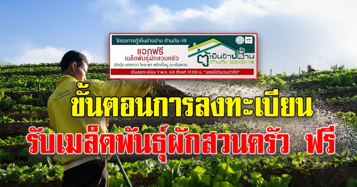 ขั้นตอนการลงทะเบียนรับ เมล็ดพันธุ์ผักสวนครัว ฟรี ง่ายๆไม่ยุ่งยาก